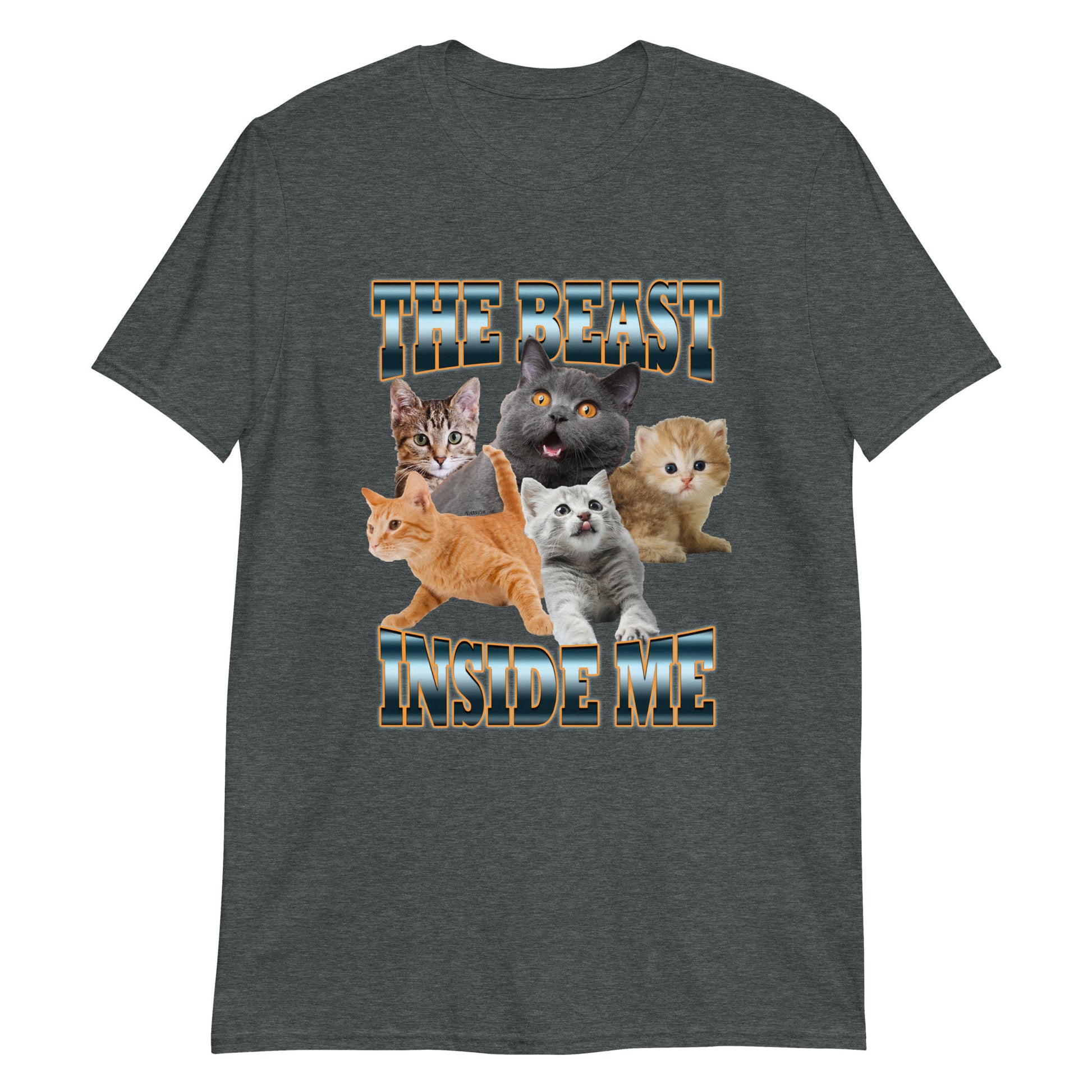 Gray The Beast Inside Me Cats T-Shirt